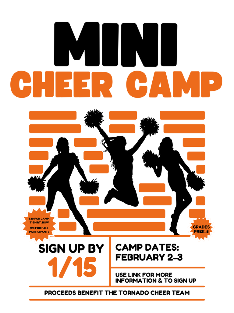 Mini Cheer Camp