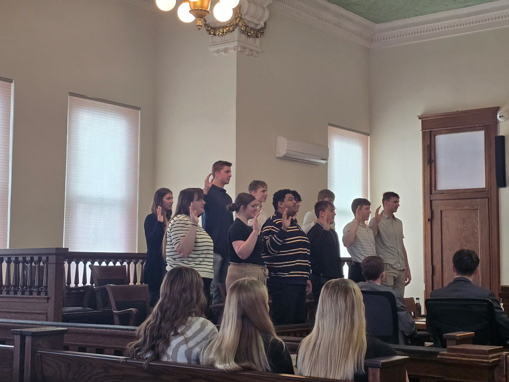 The Jury