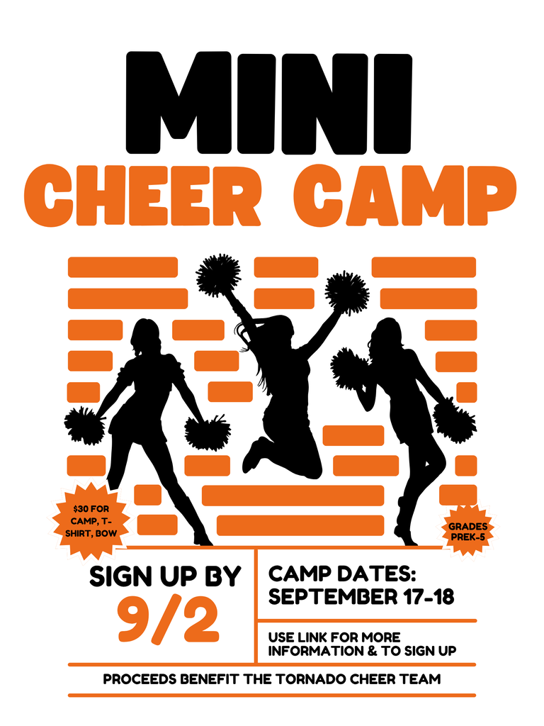 Mini cheer camp