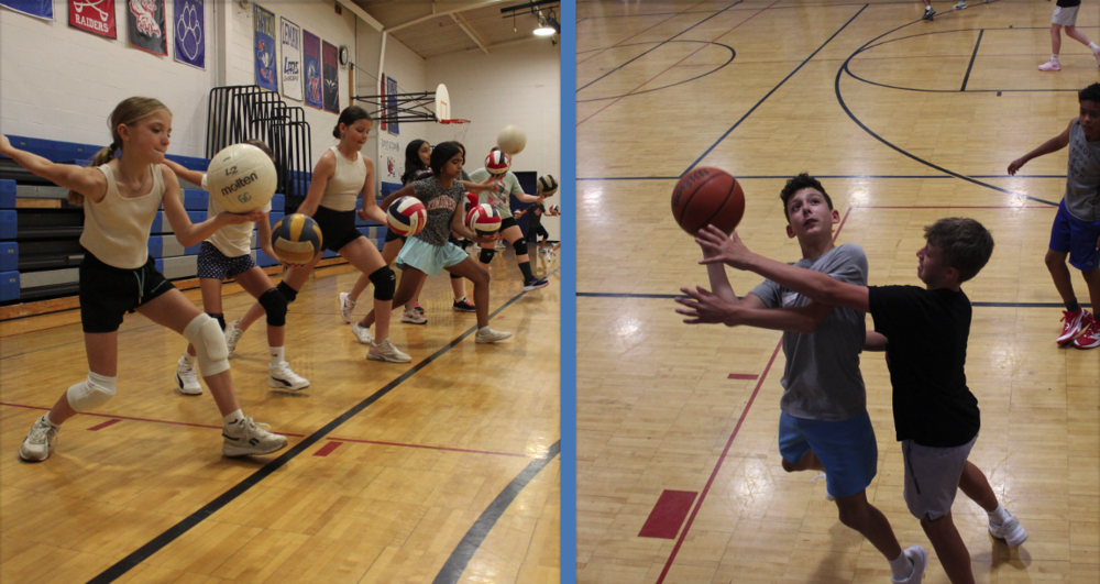 Volleyball basketball