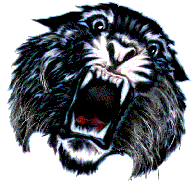 wildcat