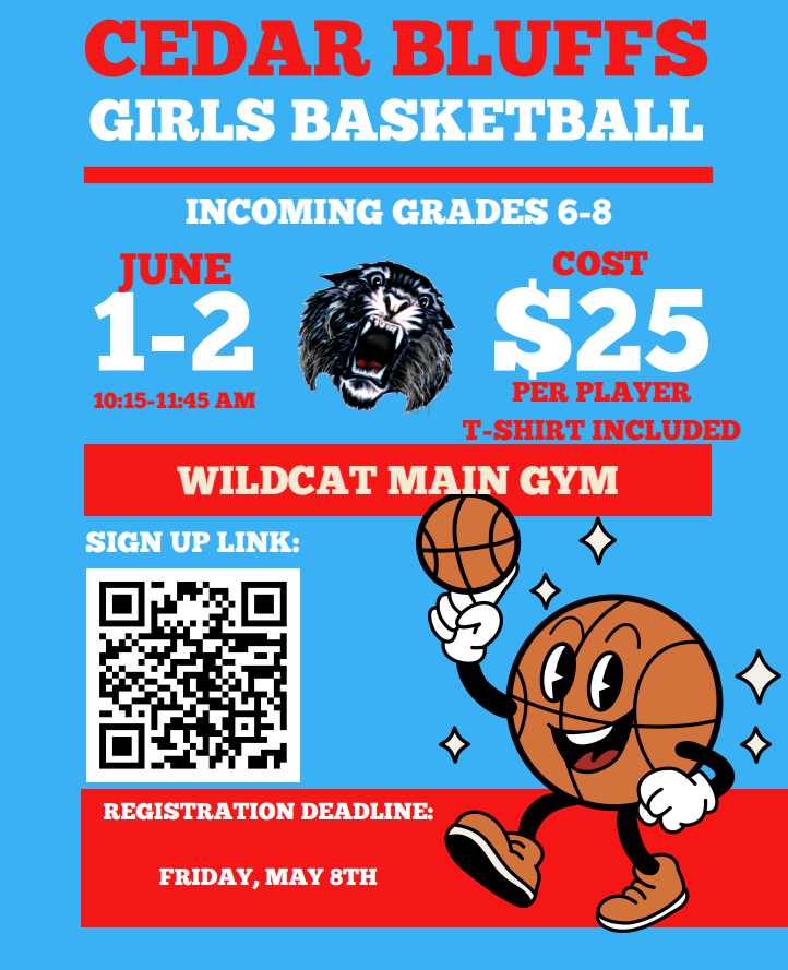 bball