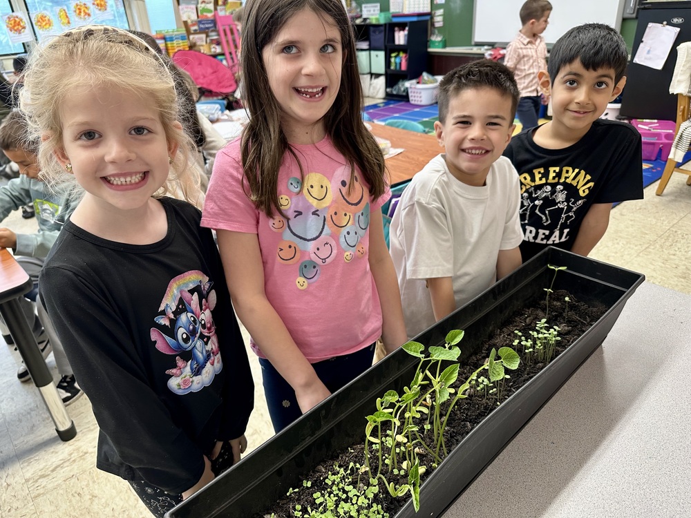 Planting