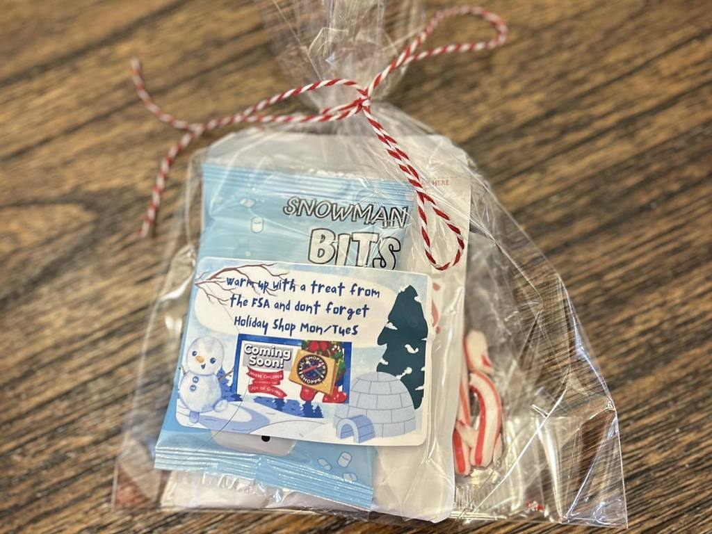 An image of the goody bags