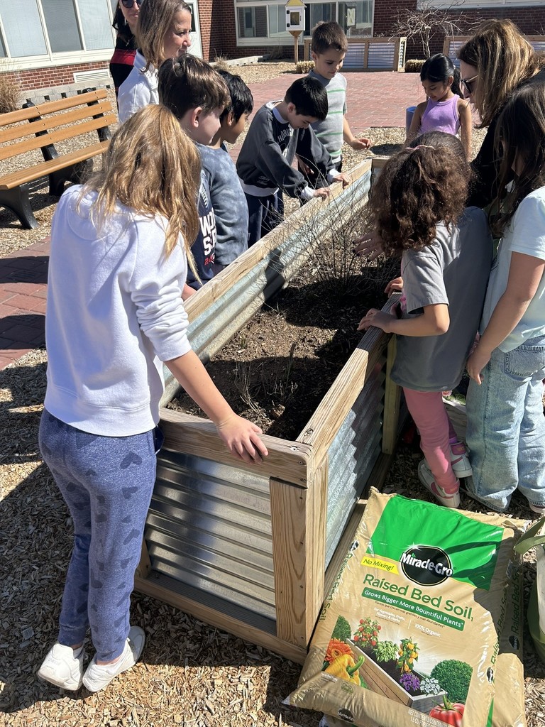 beautification project