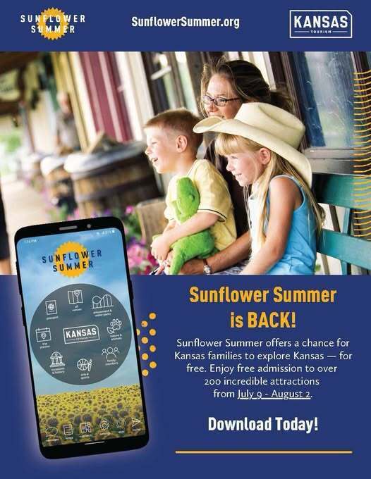 sunflower summer