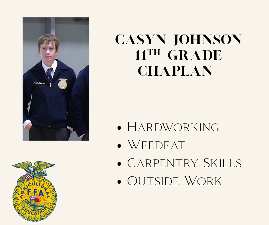 Casyn 