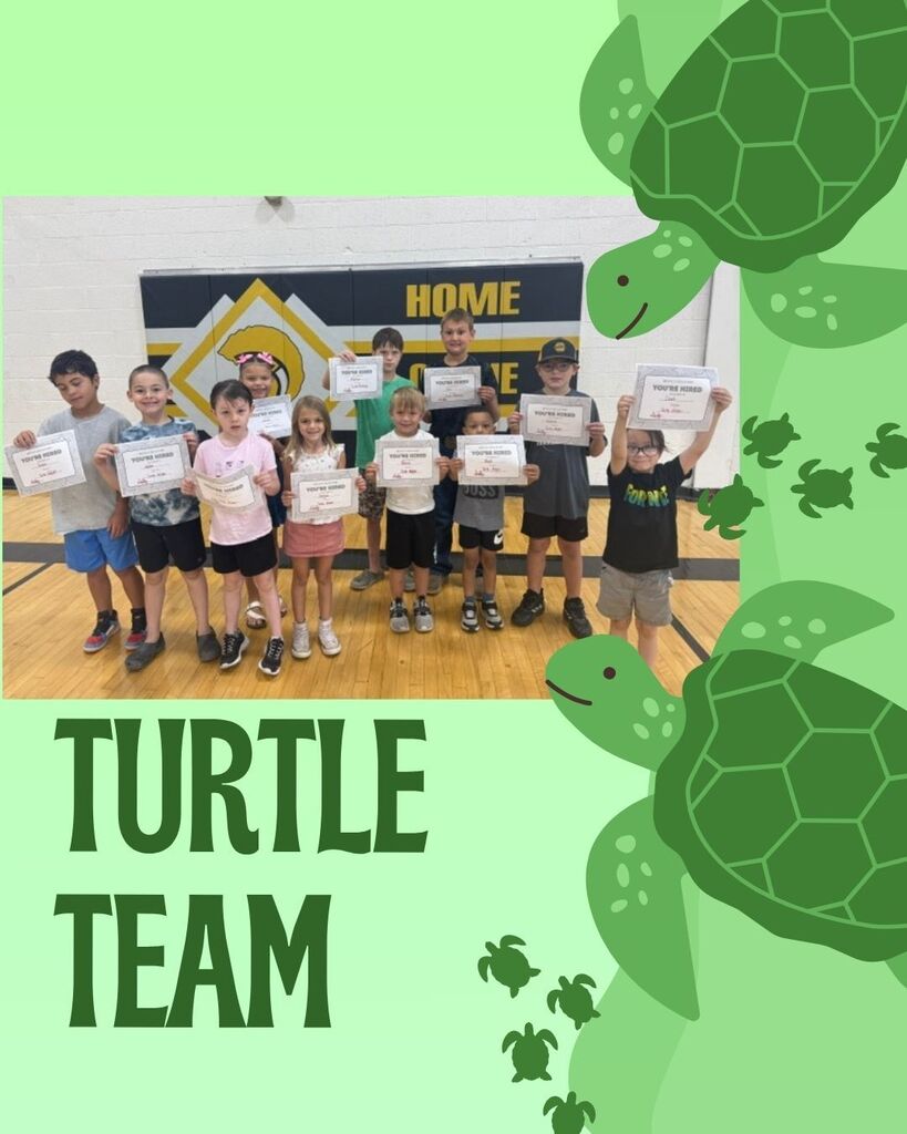 turtle