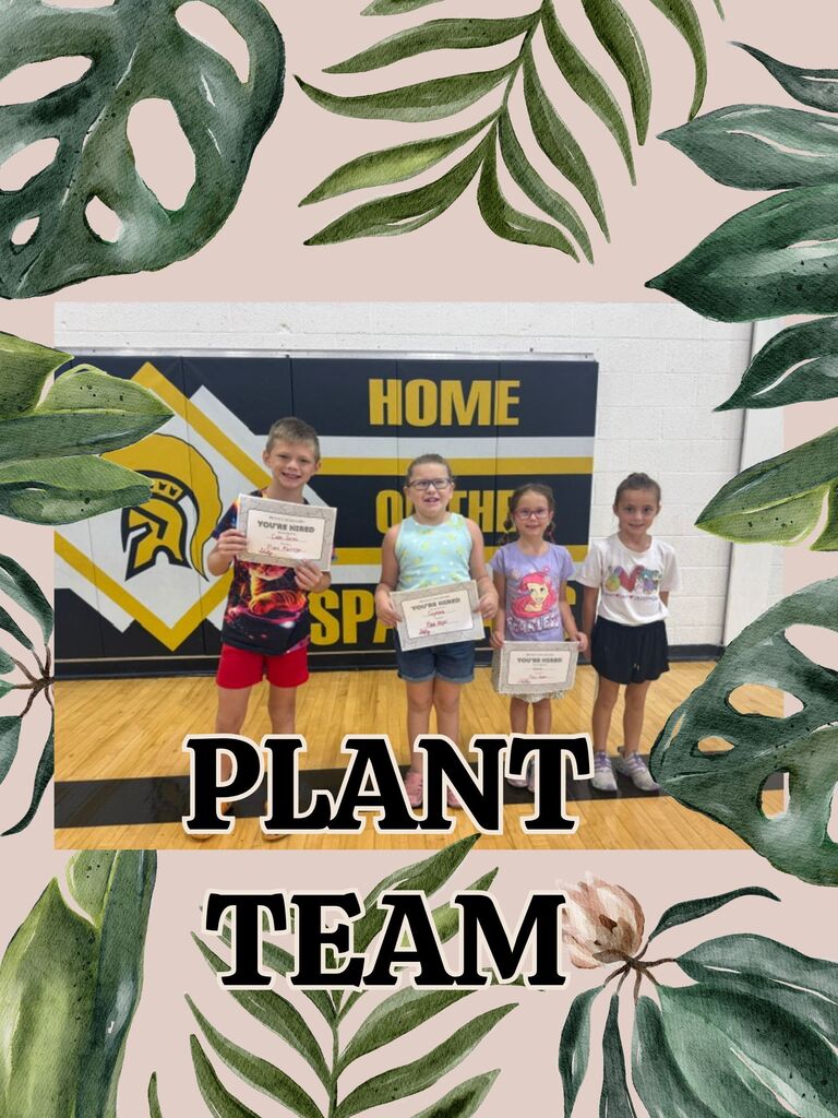 plant