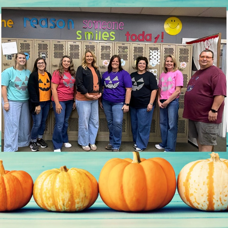 elementary teachers