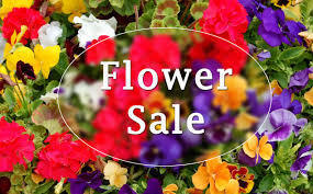 FLOWER SALE