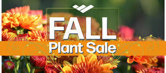 FALL FLOWER SALE