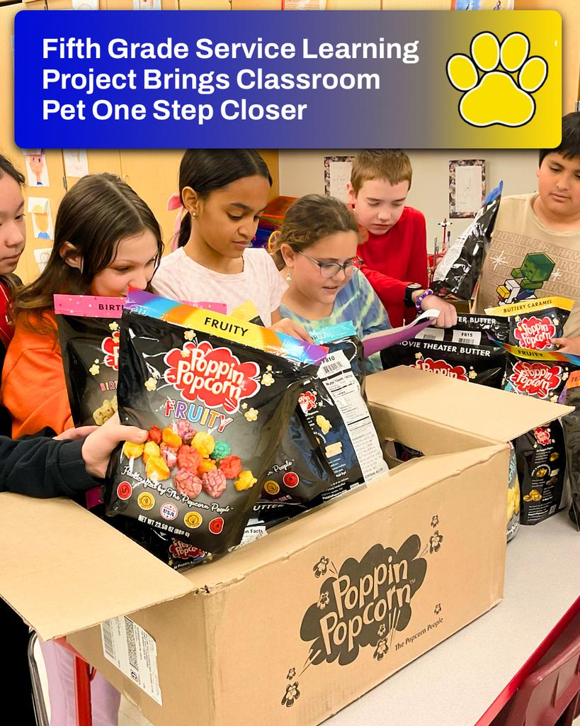 Willow Dale fifth graders working together in.a fundraiser in order to get funds ot get a school pet at Willow Dale