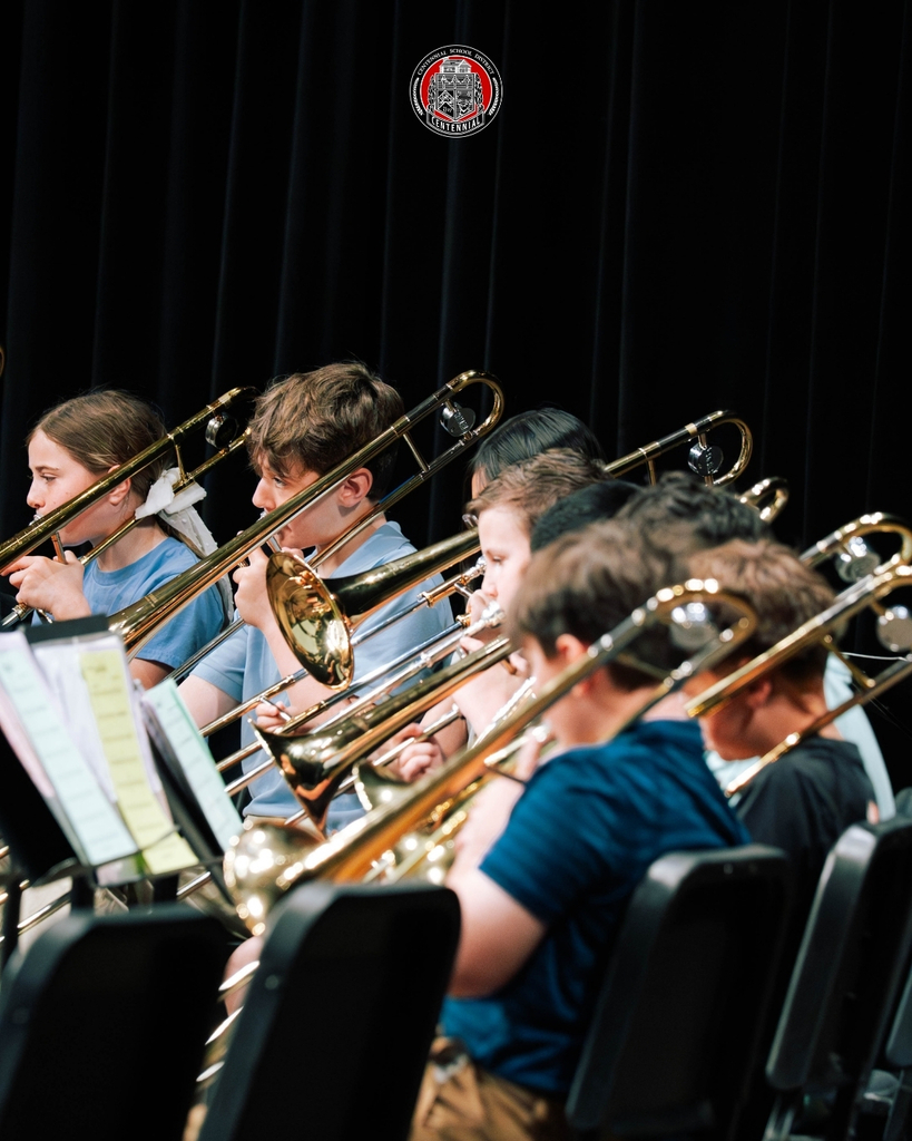 The Fine Arts Festival is in full swing, and it is clear how much hard work has gone into these performances. Our musicians have been practicing since January and have truly gone above and beyond this week! 