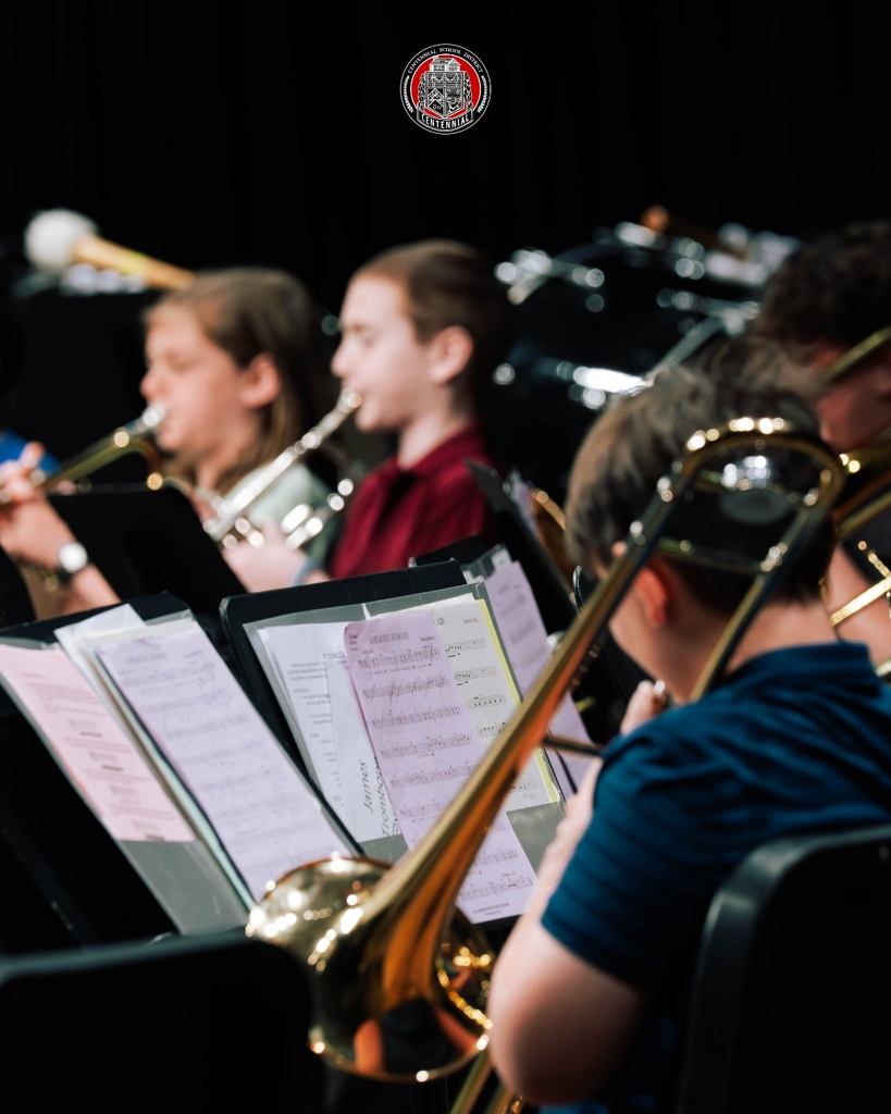 The Fine Arts Festival is in full swing, and it is clear how much hard work has gone into these performances. Our musicians have been practicing since January and have truly gone above and beyond this week! 