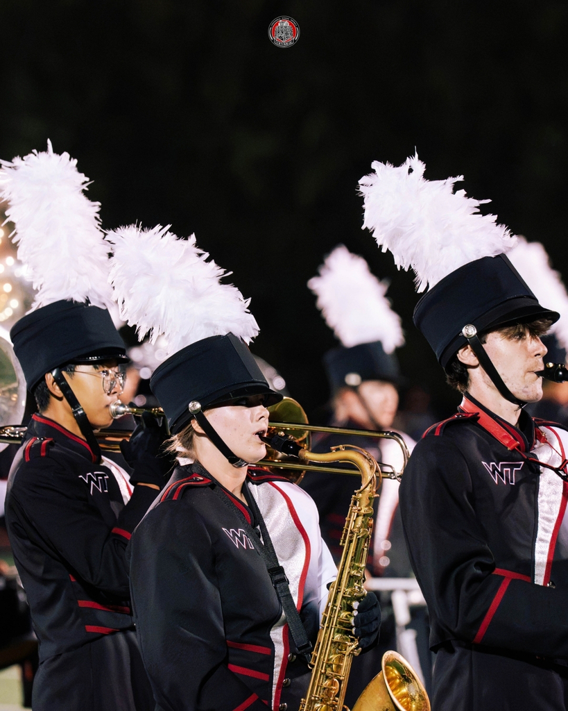 Panther Pride on Full Display at 30th Annual Celebration of Bands