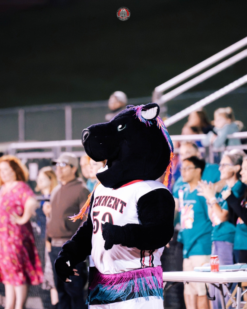 Panther Pride on Full Display at 30th Annual Celebration of Bands