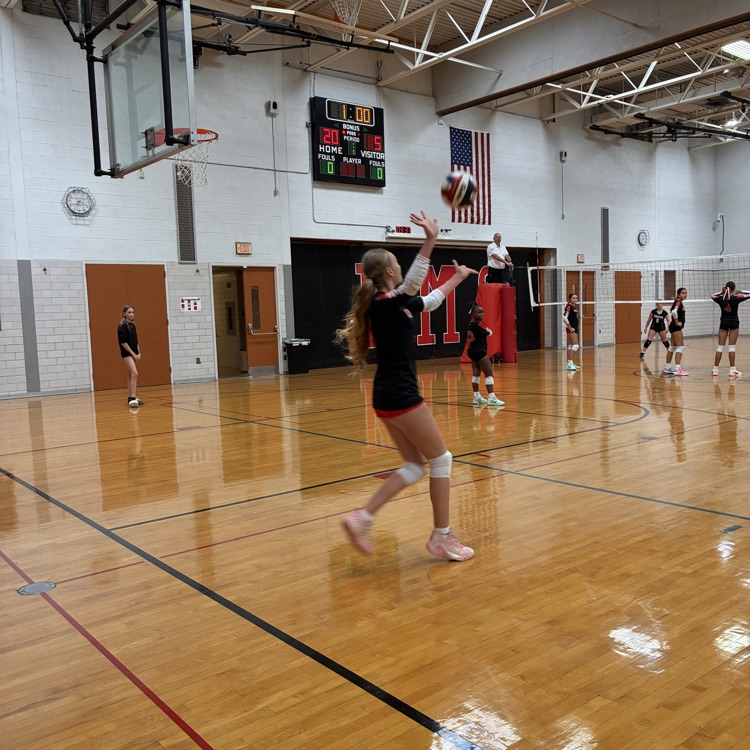 volleyball