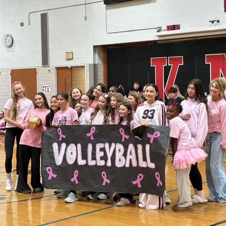 volleyball team