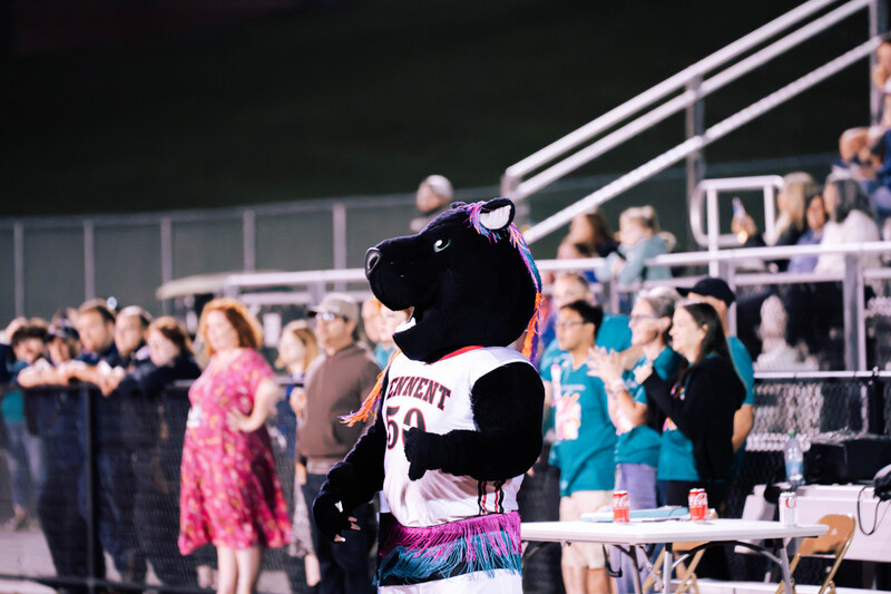 Panther Pride on Full Display at 30th Annual Celebration of Bands