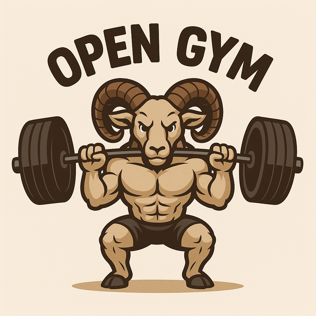Open Gym Ram