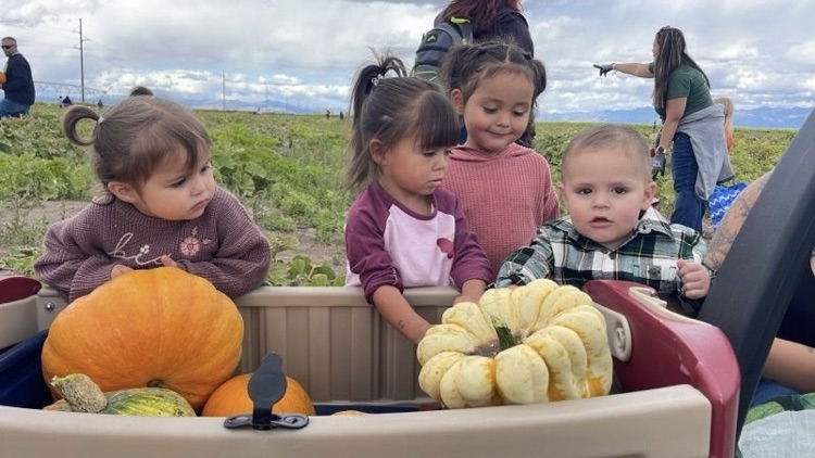 ece fall trip