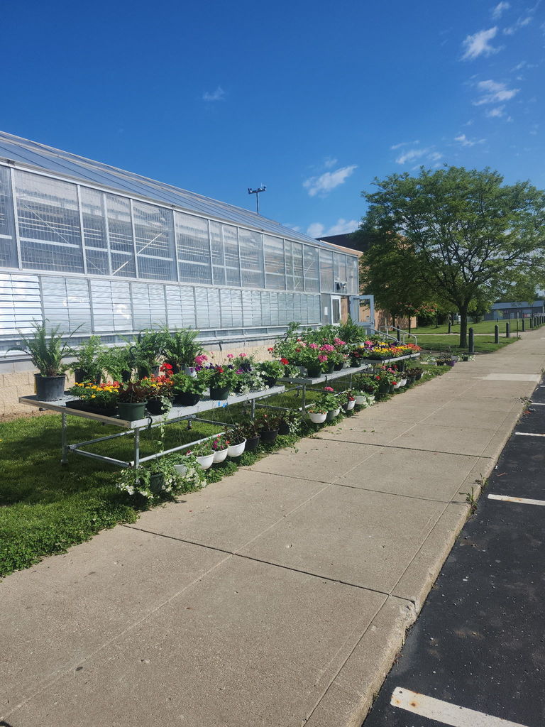 flower sale photo