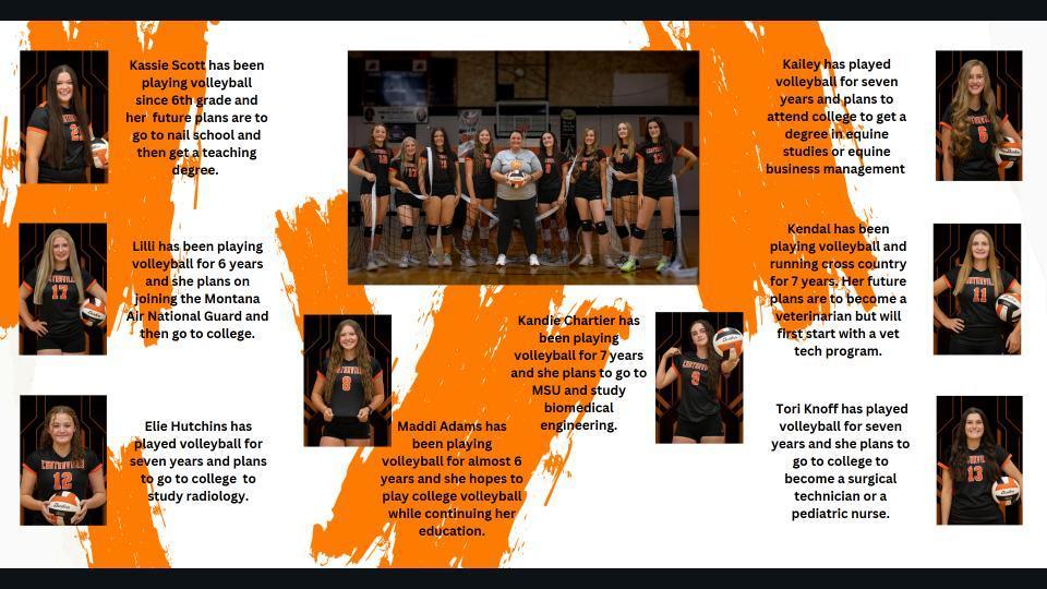 volleyball players, net, ball, paint brush strokes in background