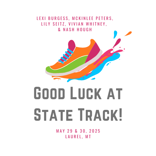 running shoe in splashing a puddle of color, state track info