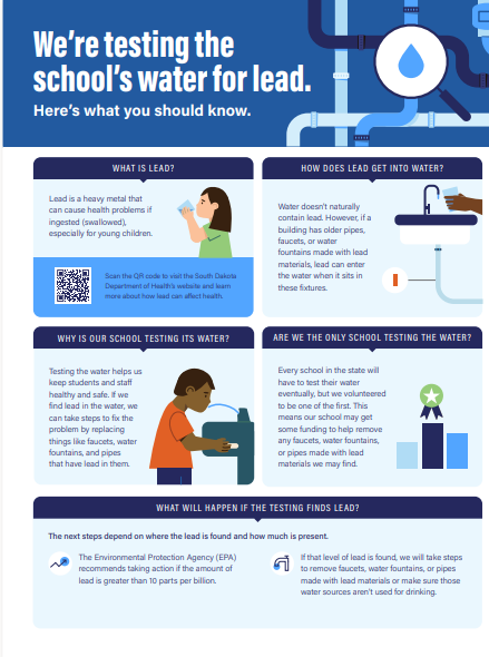 Lead Testing