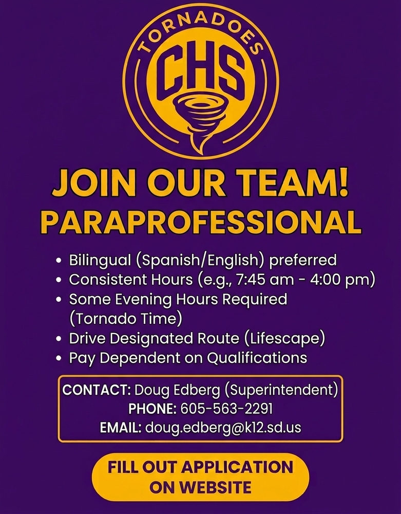 Paraprofessional