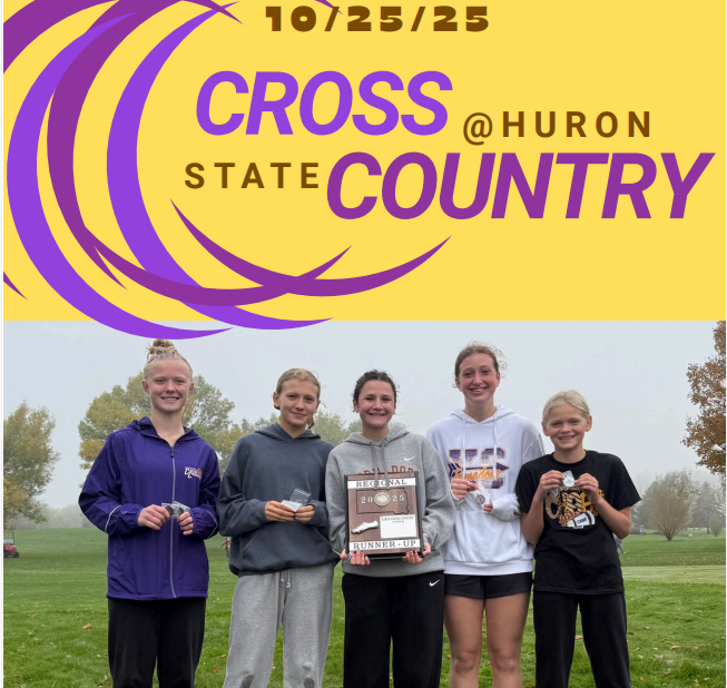 State Cross Country @ Huron
