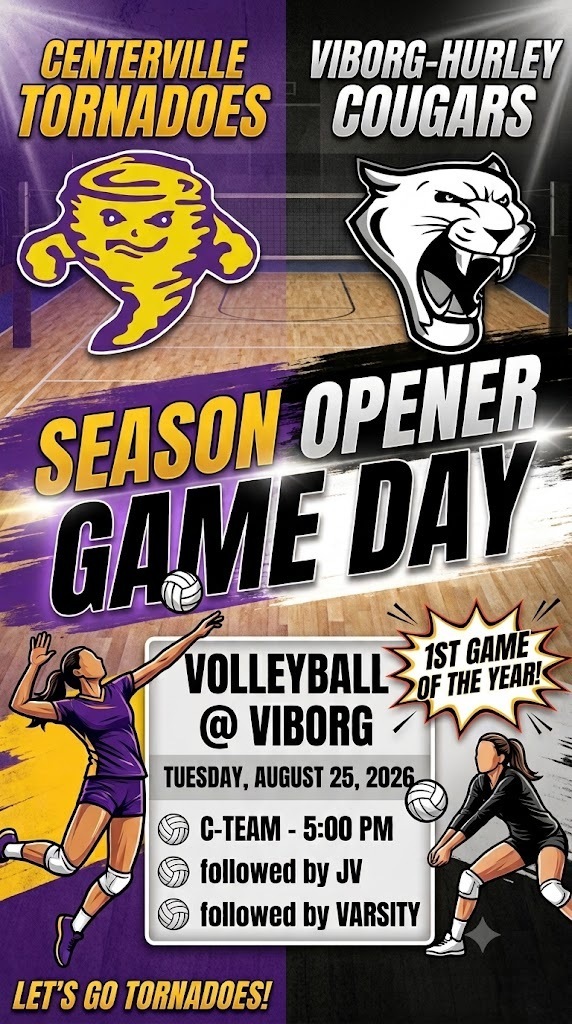 Volleyball @ Viborg