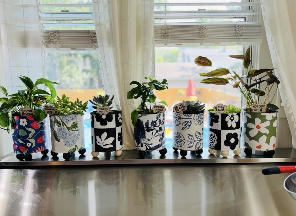 Potted Plants