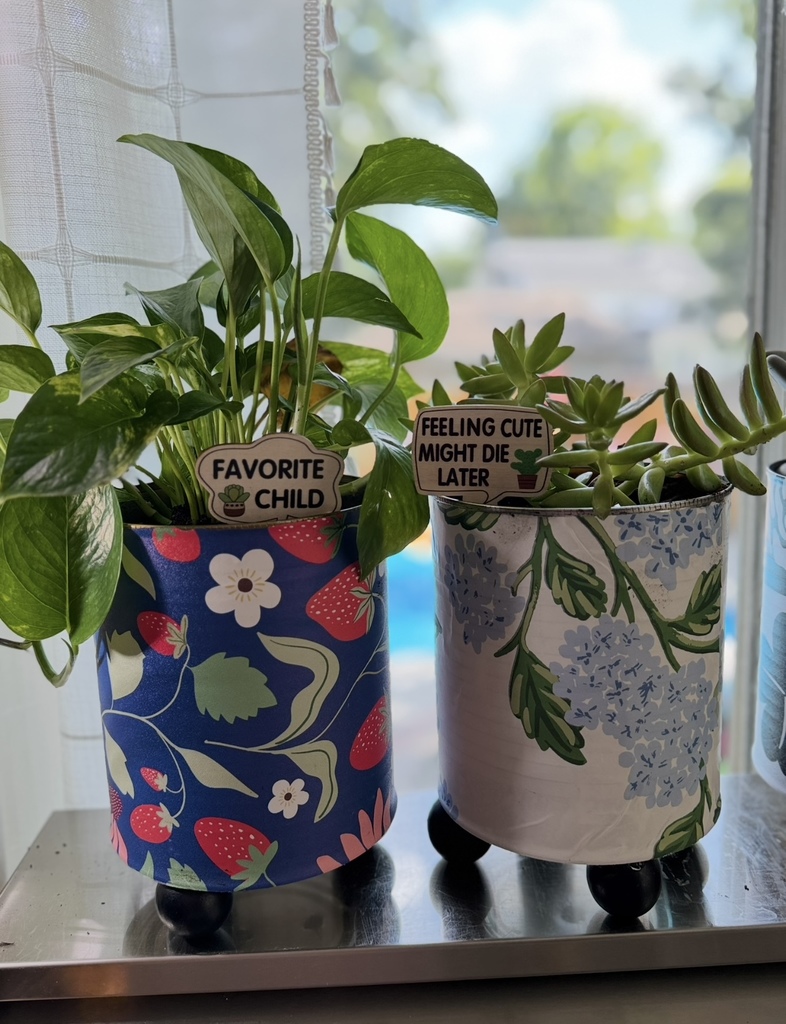 Potted Plants