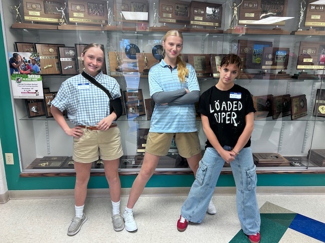 Diary of a Wimpy Kid