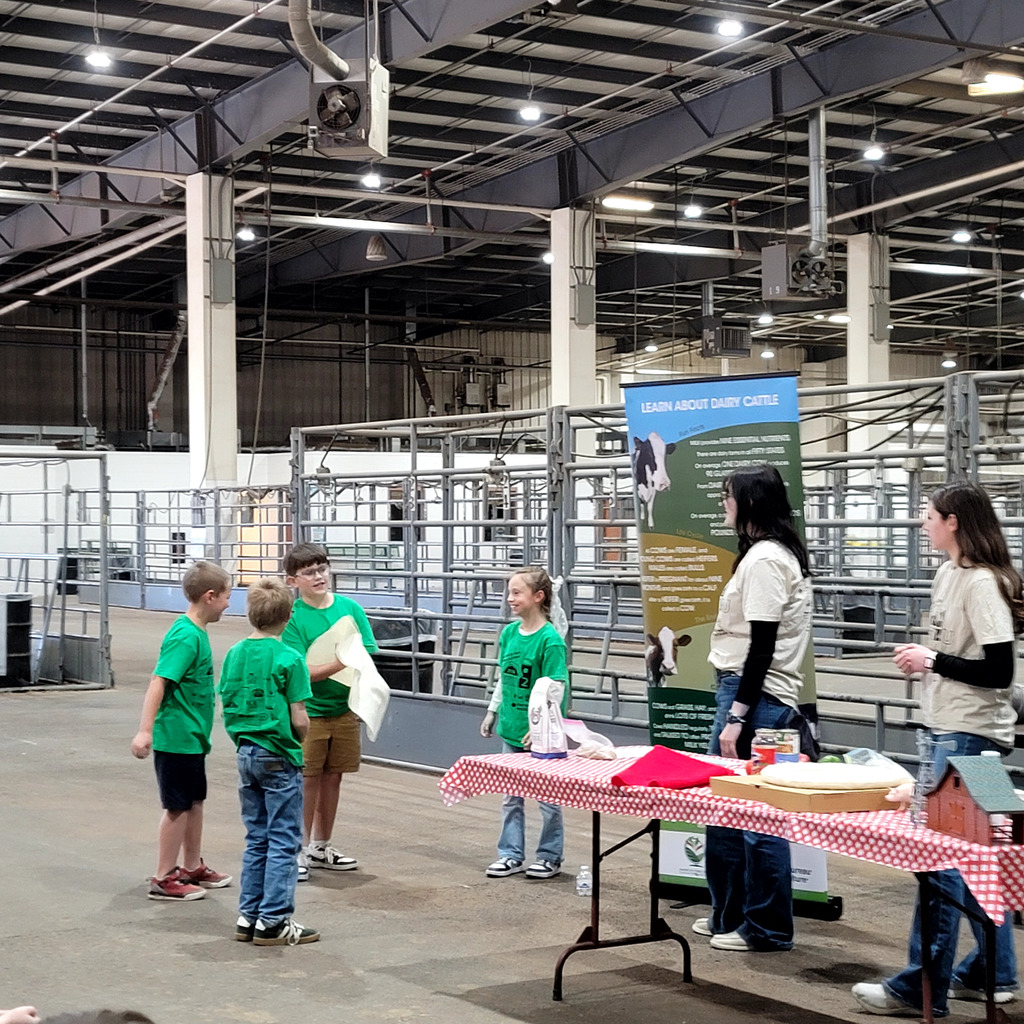 Students learning about dairy cattle.