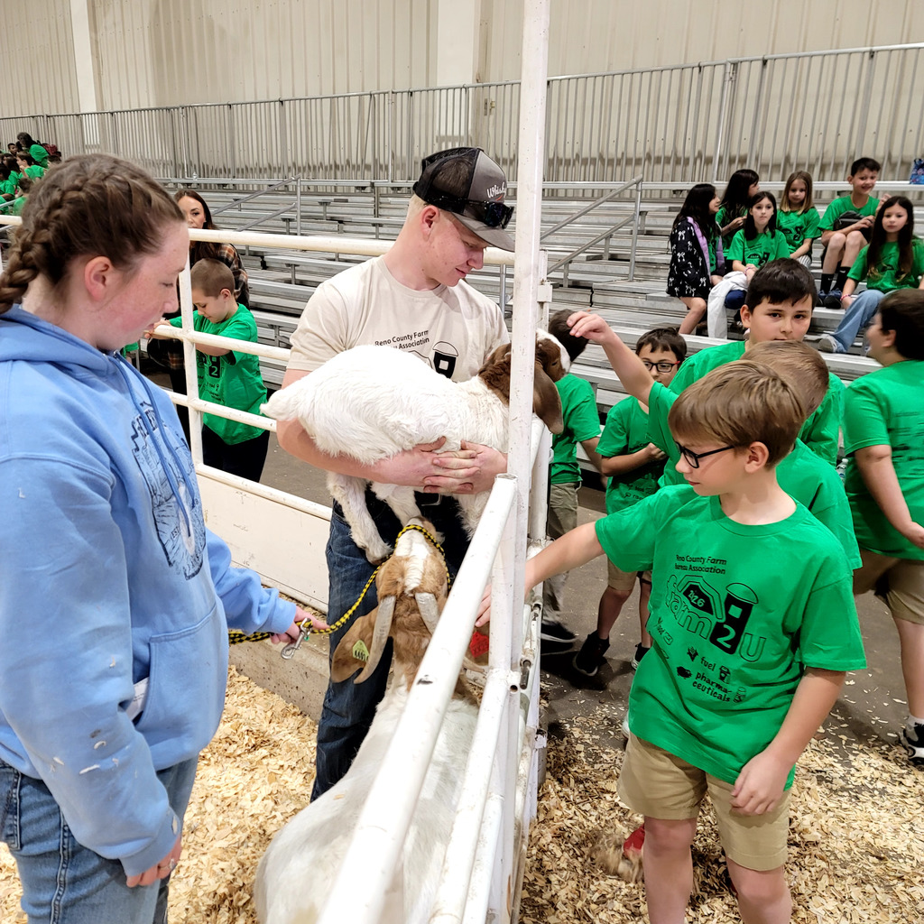 Students learning about sheep.