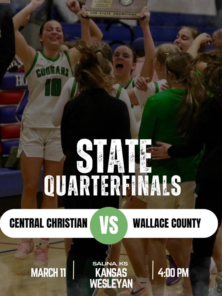 Lady Cougars State Quarterfinal game
