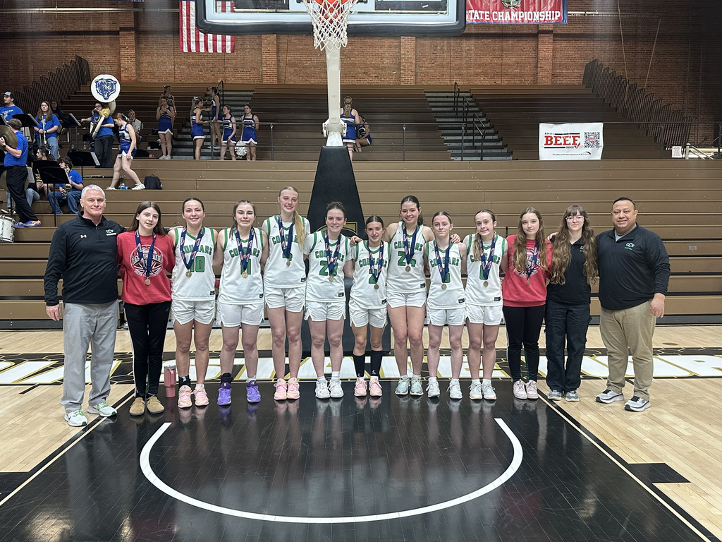 HS Girls BB- 4th Place at State