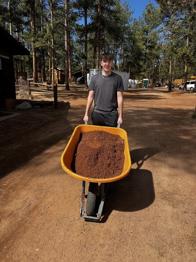 Senior Trip Service Project