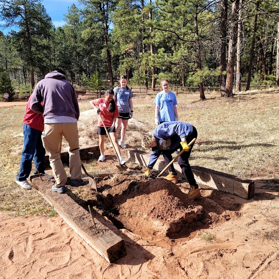 Senior Trip Service Project