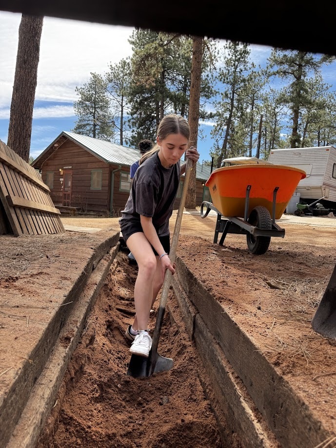 Senior Trip Service Project