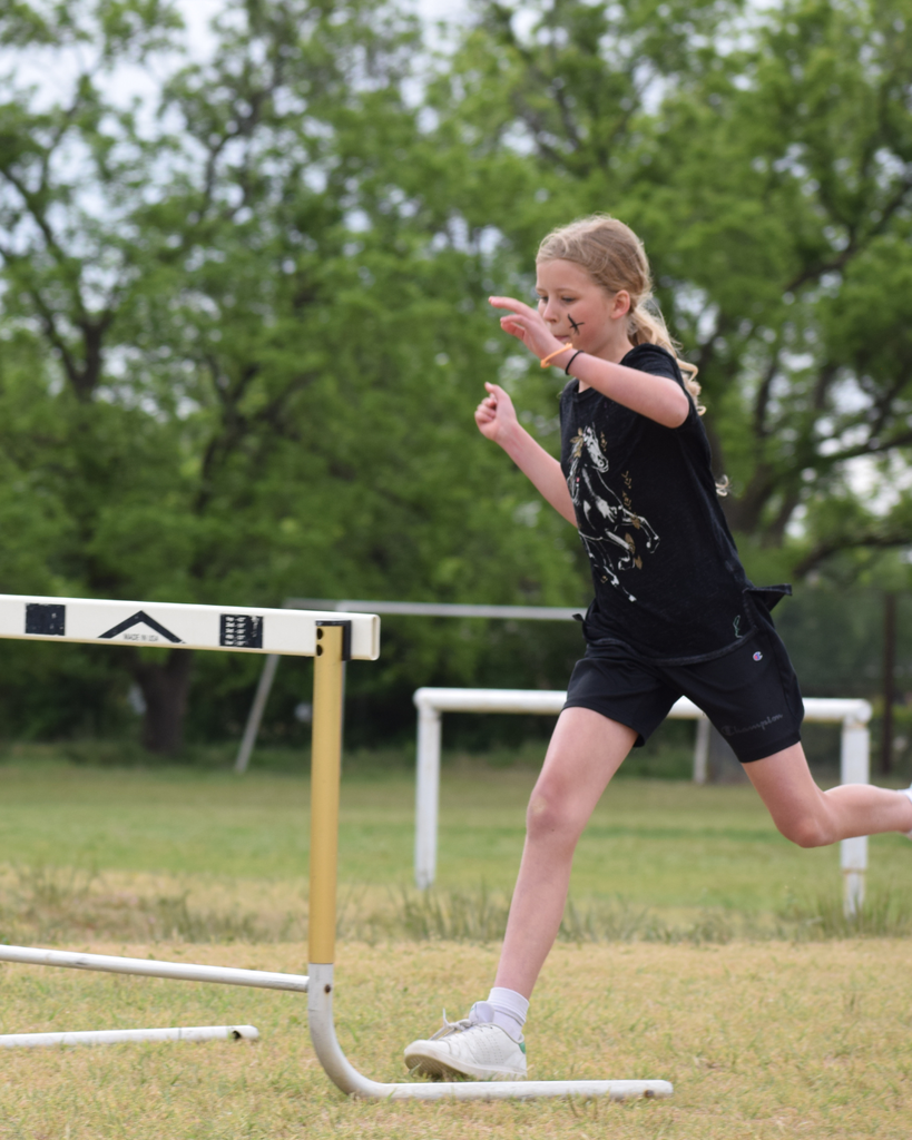 K-5 Track & Field Day