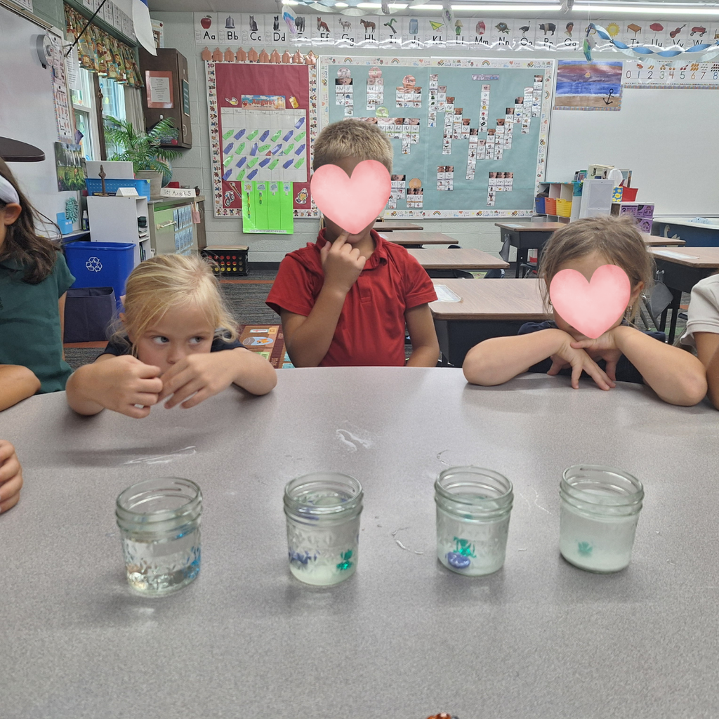 salt water vs. fresh water experiment