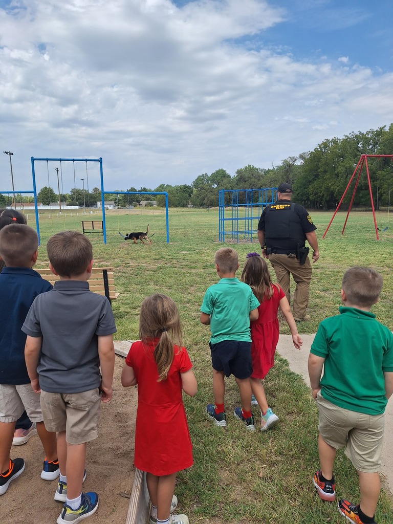 K9 Max on the hunt