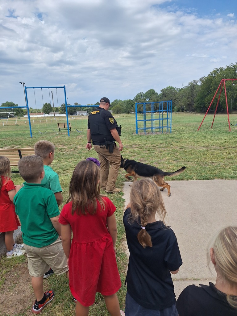 K9 Max