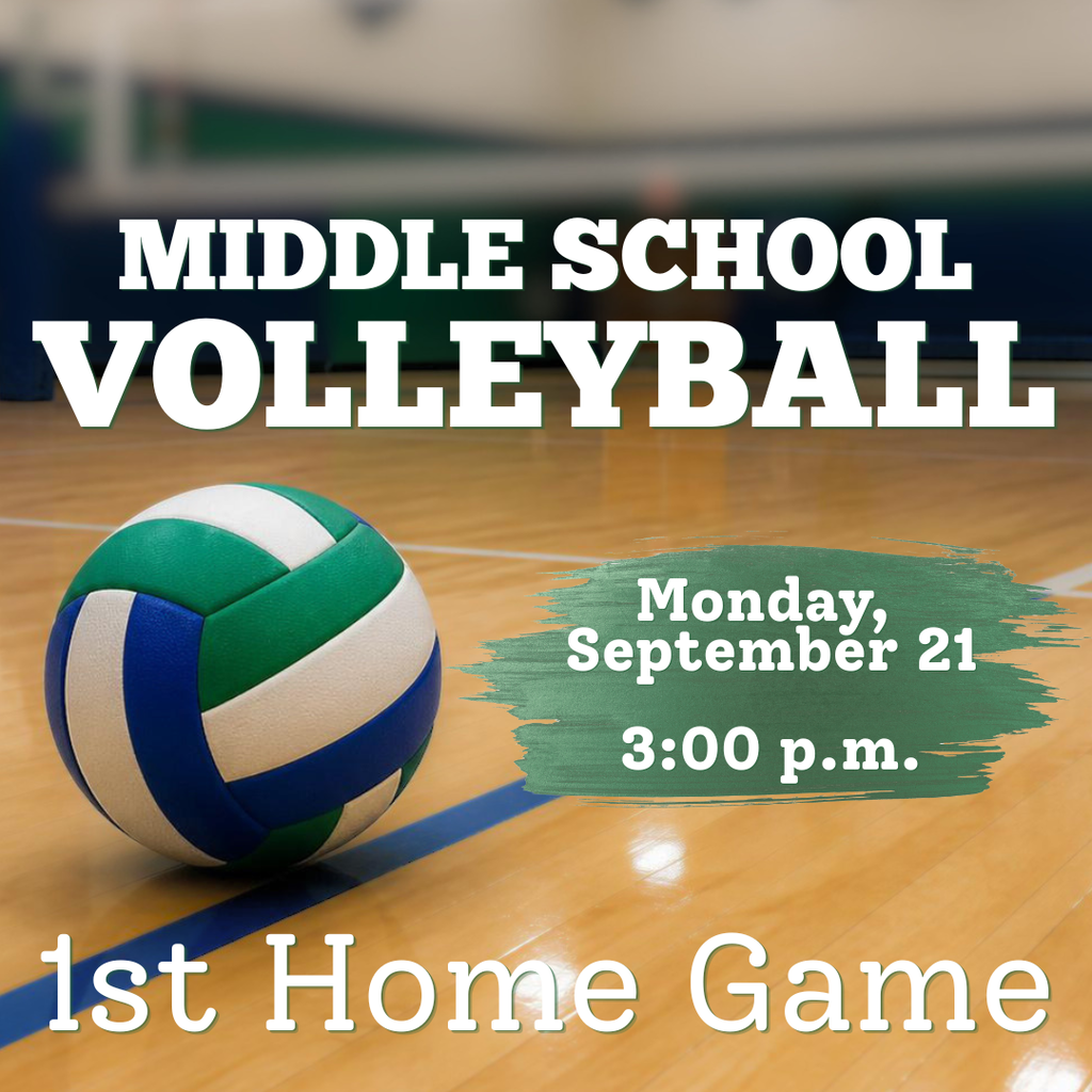 Volleyball Game