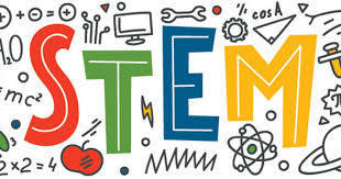 stem