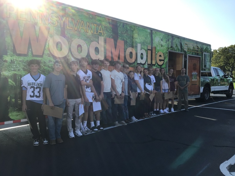woodmobile